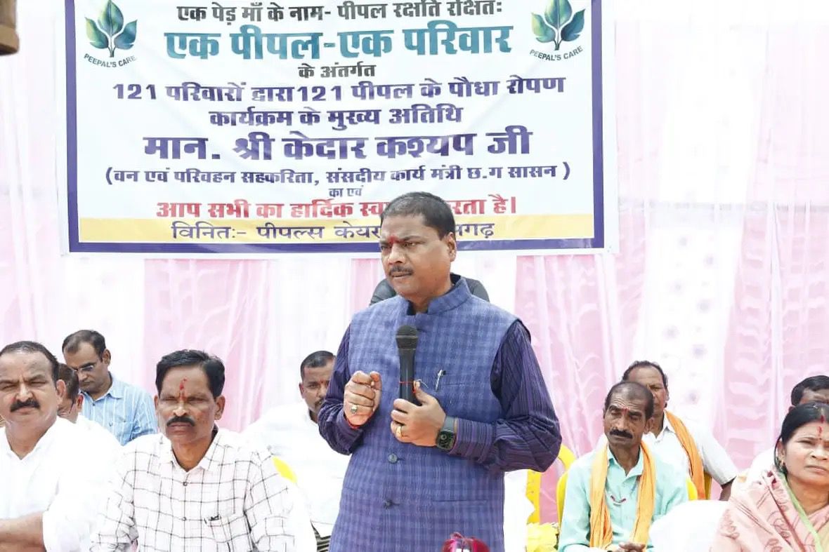 Plantation Drive - 2025